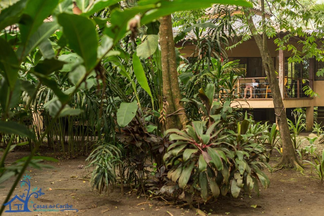 Casa Koda Beach Front Cocles Exterior foto